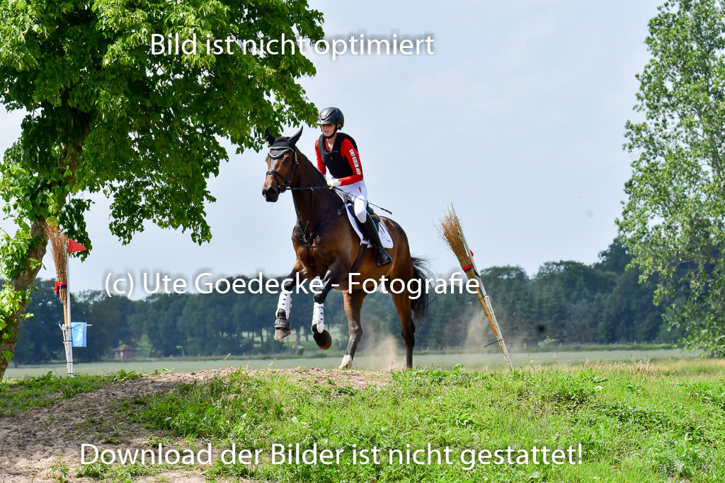Goldene Schärpe Pferde  in Löningen  11+12.6.22 | 11062022 - Gelände 331 Abt