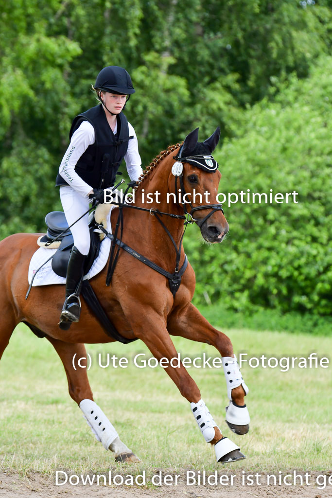 Goldene Schärpe Pferde  in Löningen  11+12.6.22 | 11062022 - Gelände 335 Abt