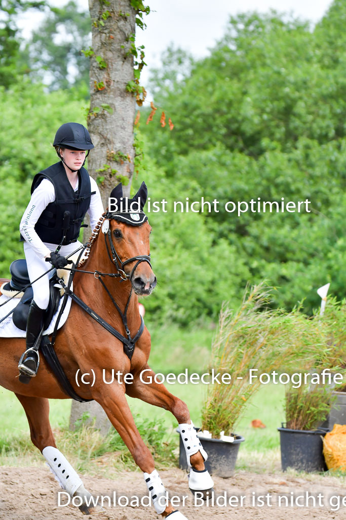 Goldene Schärpe Pferde  in Löningen  11+12.6.22 | 11062022 - Gelände 336 Abt