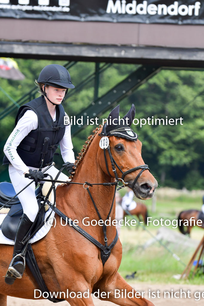 Goldene Schärpe Pferde  in Löningen  11+12.6.22 | 11062022 - Gelände 337 Abt
