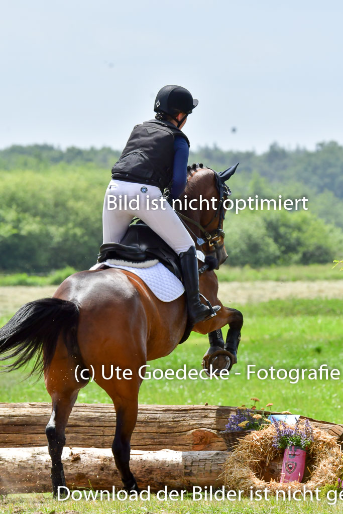Goldene Schärpe PFerde  in Löningen  11+12.6.22 | 11062022 - Gelände 34 Abt 