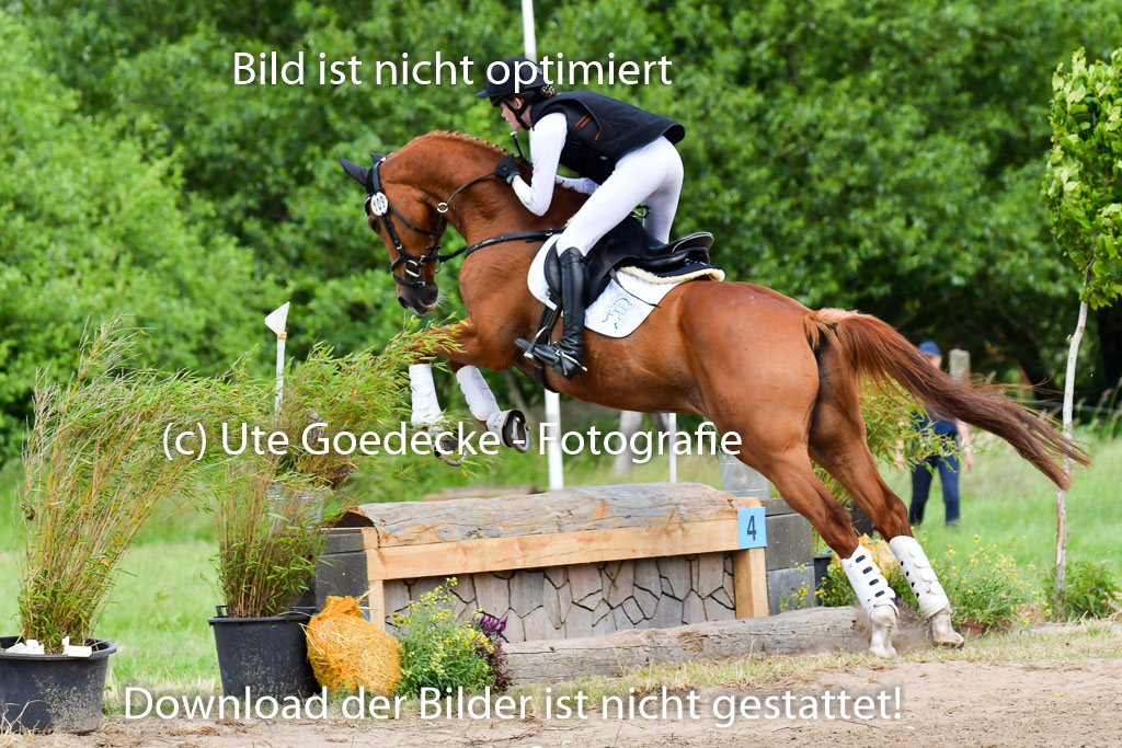 Goldene Schärpe Pferde  in Löningen  11+12.6.22 | 11062022 - Gelände 341 Abt