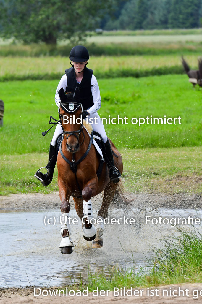 Goldene Schärpe Pferde  in Löningen  11+12.6.22 | 11062022 - Gelände 344 Abt