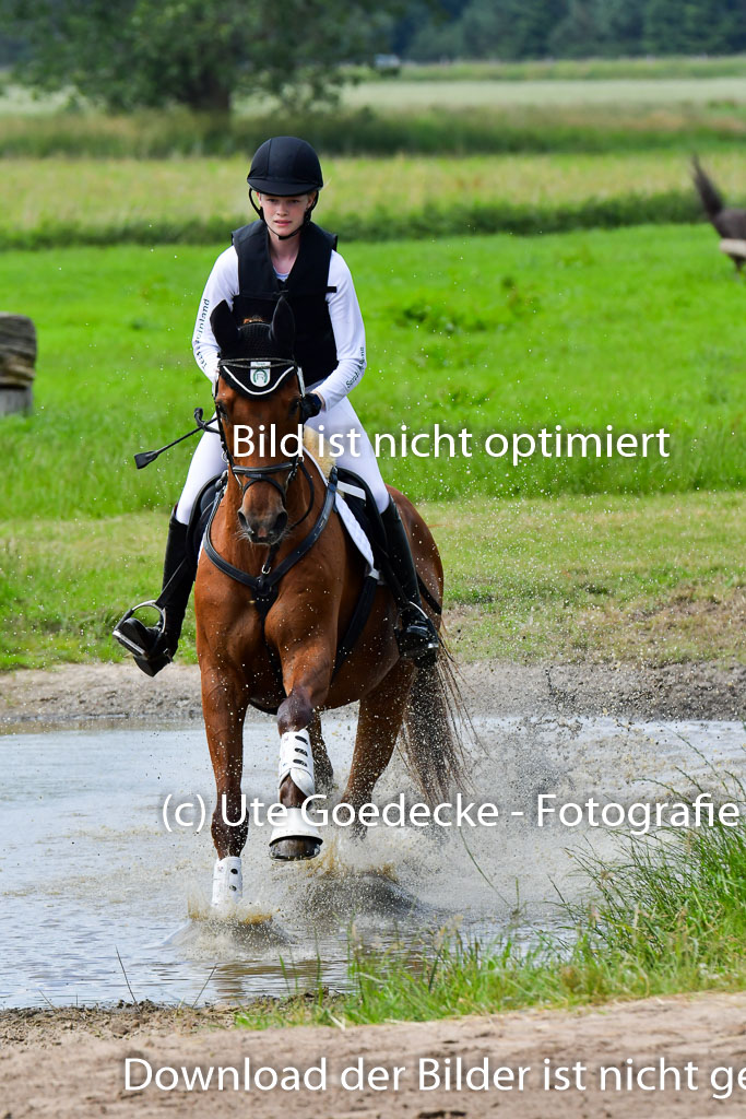 Goldene Schärpe Pferde  in Löningen  11+12.6.22 | 11062022 - Gelände 345 Abt