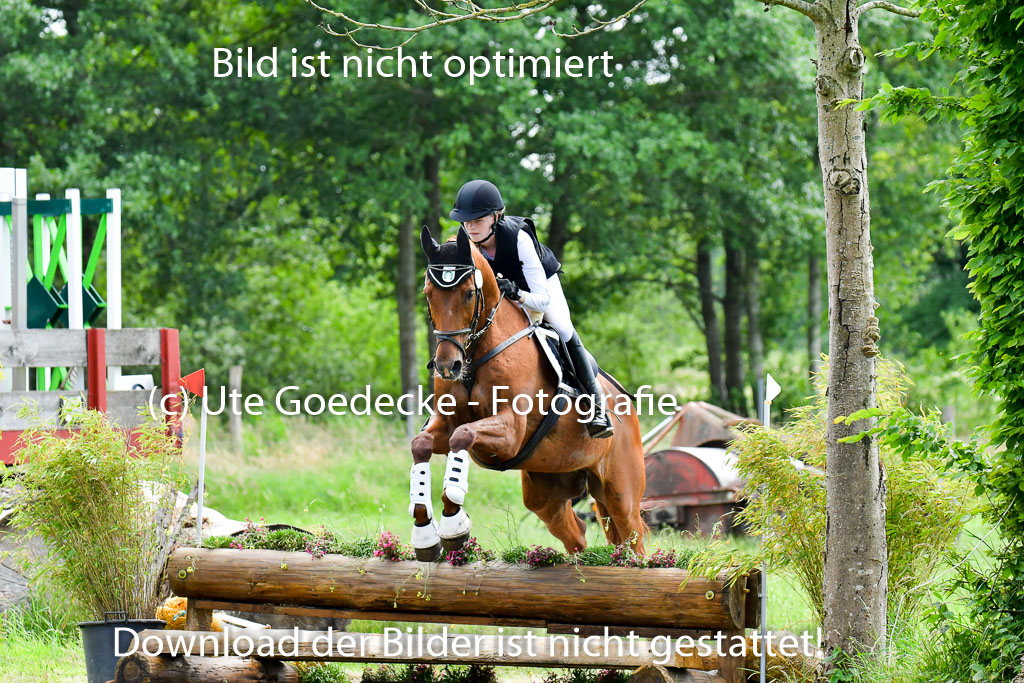 Goldene Schärpe Pferde  in Löningen  11+12.6.22 | 11062022 - Gelände 350 Abt 