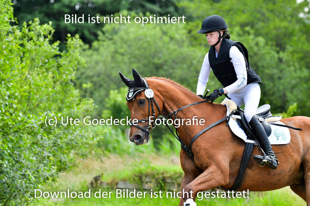 Goldene Schärpe Pferde  in Löningen  11+12.6.22 | 11062022 - Gelände 352 Abt