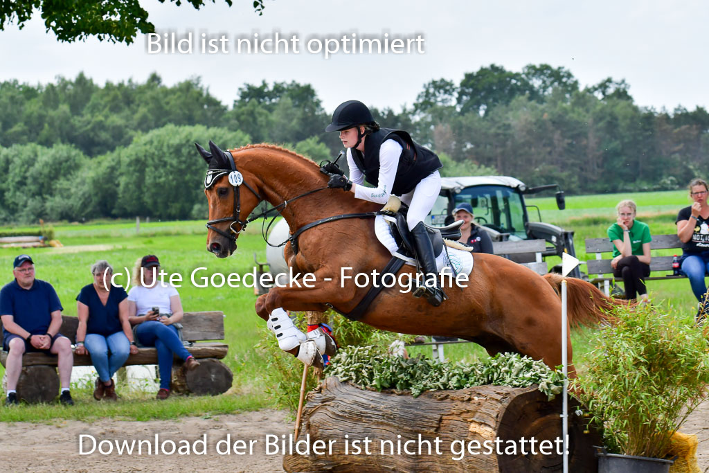 Goldene Schärpe Pferde  in Löningen  11+12.6.22 | 11062022 - Gelände 355 Abt