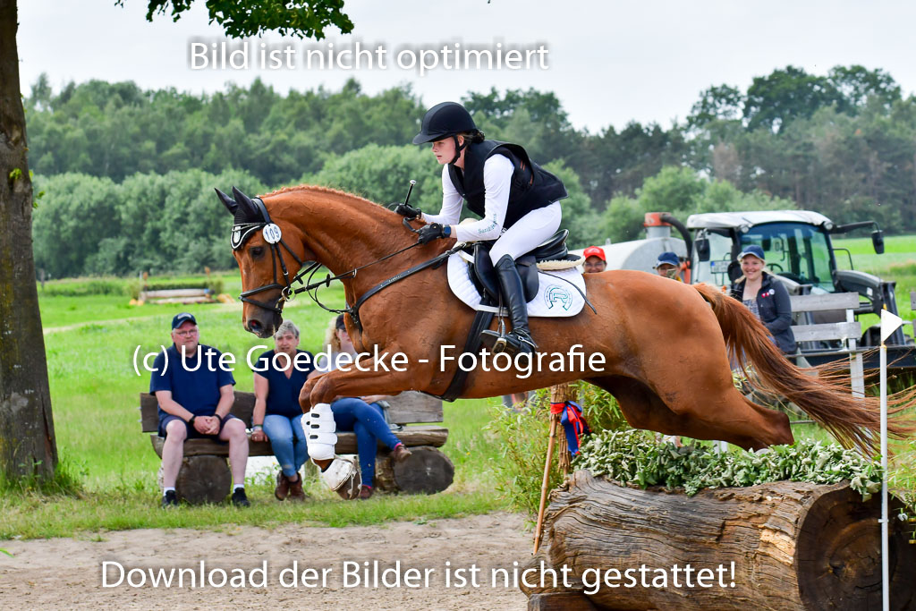 Goldene Schärpe Pferde  in Löningen  11+12.6.22 | 11062022 - Gelände 356 Abt
