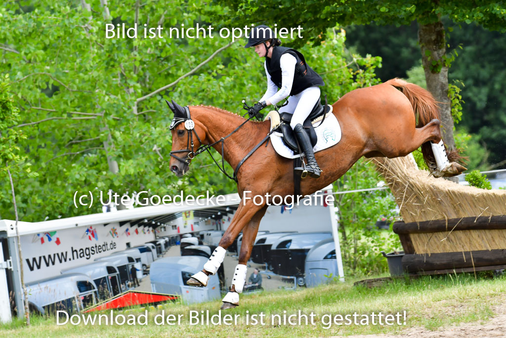 Goldene Schärpe Pferde  in Löningen  11+12.6.22 | 11062022 - Gelände 359 Abt