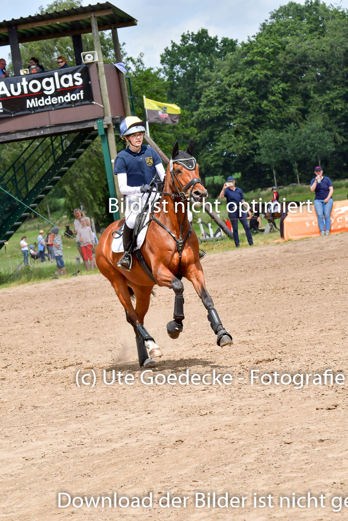 Goldene Schärpe Pferde  in Löningen  11+12.6.22 | 11062022 - Gelände 360 Abt