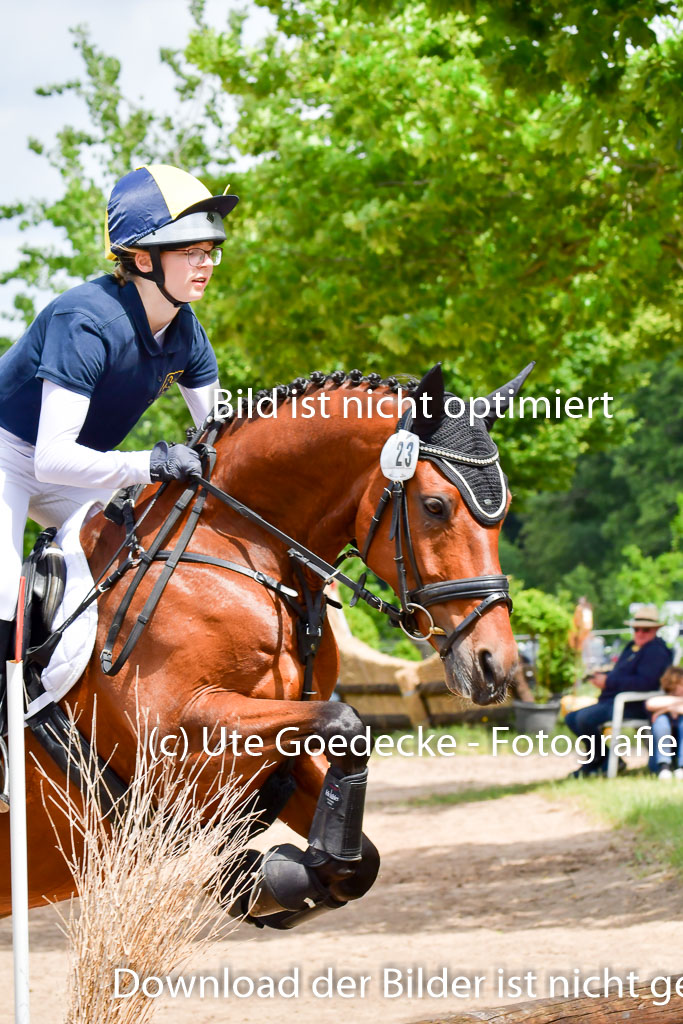 Goldene Schärpe Pferde  in Löningen  11+12.6.22 | 11062022 - Gelände 361 Abt 