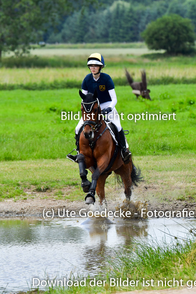 Goldene Schärpe Pferde  in Löningen  11+12.6.22 | 11062022 - Gelände 362 Abt