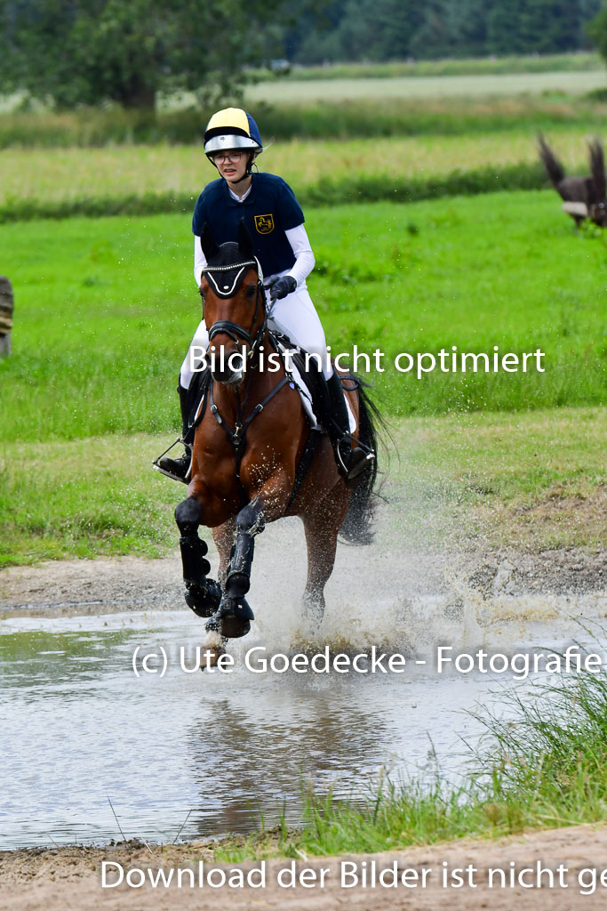 Goldene Schärpe Pferde  in Löningen  11+12.6.22 | 11062022 - Gelände 364 Abt 