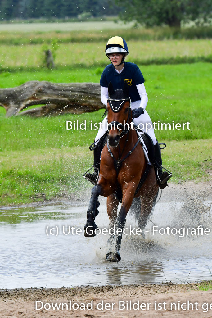Goldene Schärpe Pferde  in Löningen  11+12.6.22 | 11062022 - Gelände 365 Abt