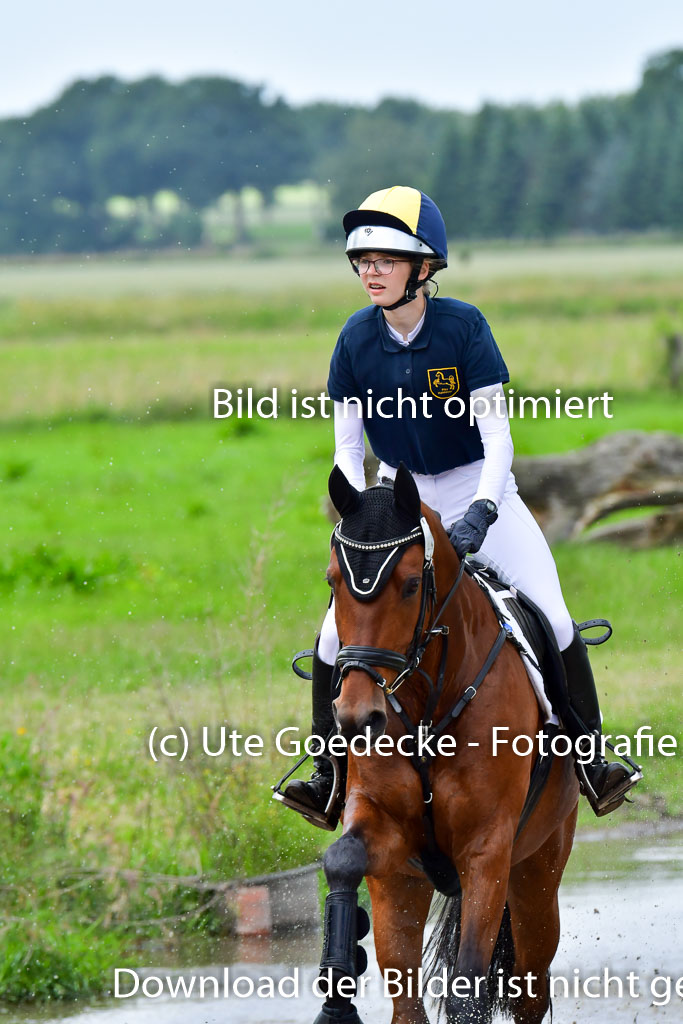 Goldene Schärpe Pferde  in Löningen  11+12.6.22 | 11062022 - Gelände 366 Abt