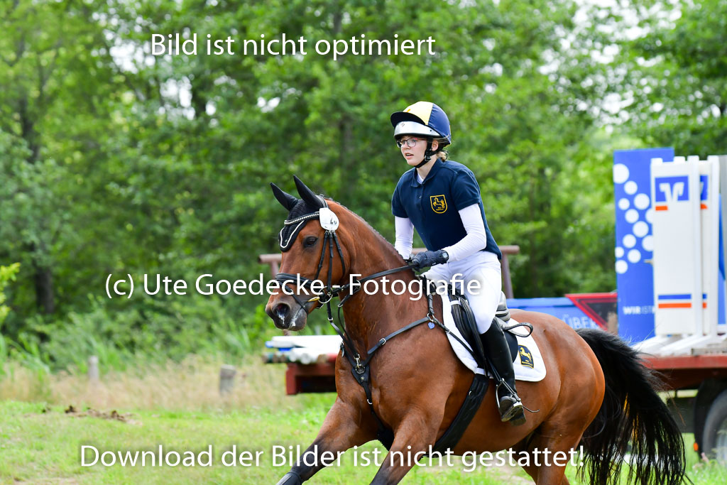 Goldene Schärpe Pferde  in Löningen  11+12.6.22 | 11062022 - Gelände 368 Abt 