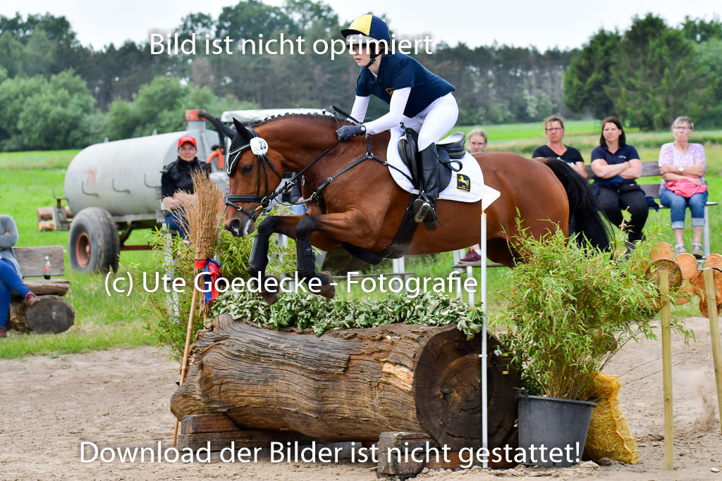 Goldene Schärpe Pferde  in Löningen  11+12.6.22 | 11062022 - Gelände 370 Abt 