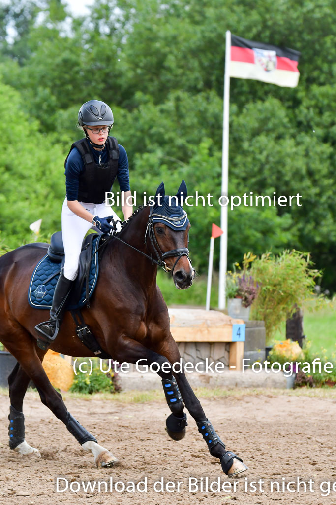 Goldene Schärpe Pferde  in Löningen  11+12.6.22 | 11062022 - Gelände 374 Abt 