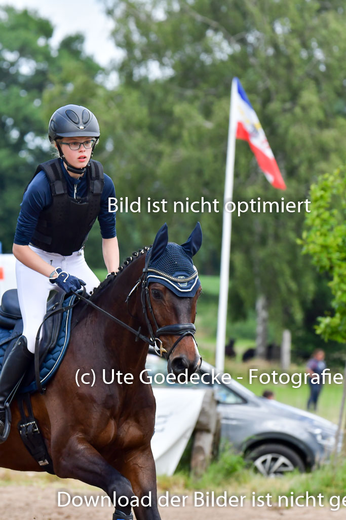 Goldene Schärpe Pferde  in Löningen  11+12.6.22 | 11062022 - Gelände 375 Abt 