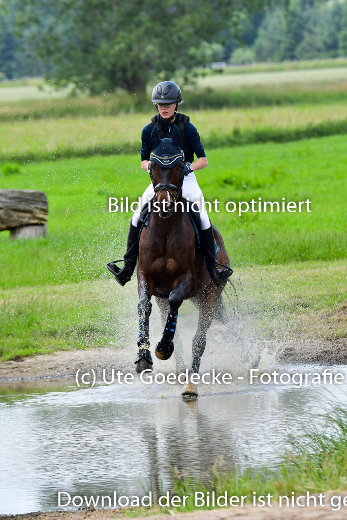 Goldene Schärpe Pferde  in Löningen  11+12.6.22 | 11062022 - Gelände 376 Abt