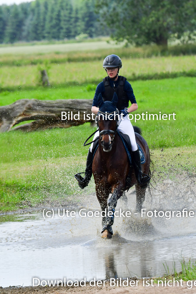 Goldene Schärpe Pferde  in Löningen  11+12.6.22 | 11062022 - Gelände 379 Abt 