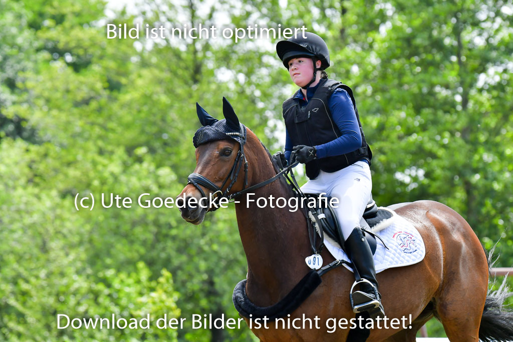 Goldene Schärpe PFerde  in Löningen  11+12.6.22 | 11062022 - Gelände 38 Abt
