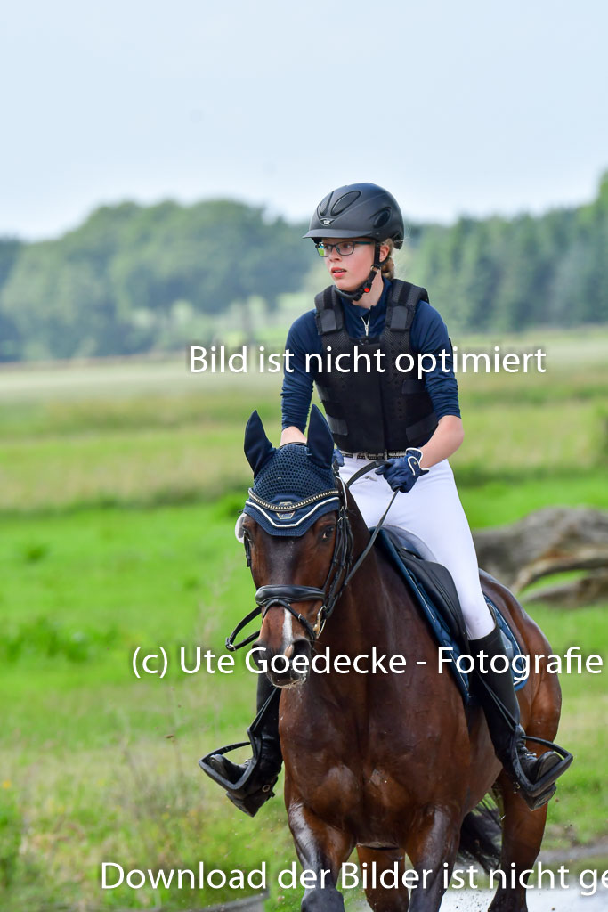 Goldene Schärpe Pferde  in Löningen  11+12.6.22 | 11062022 - Gelände 381 Abt