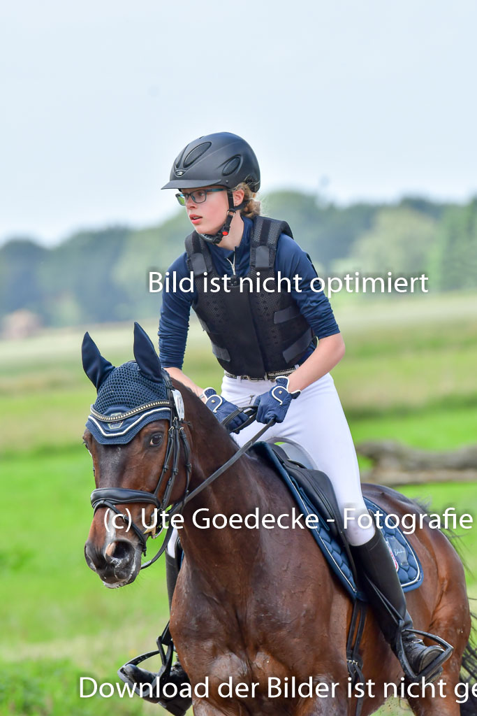 Goldene Schärpe Pferde  in Löningen  11+12.6.22 | 11062022 - Gelände 382 Abt