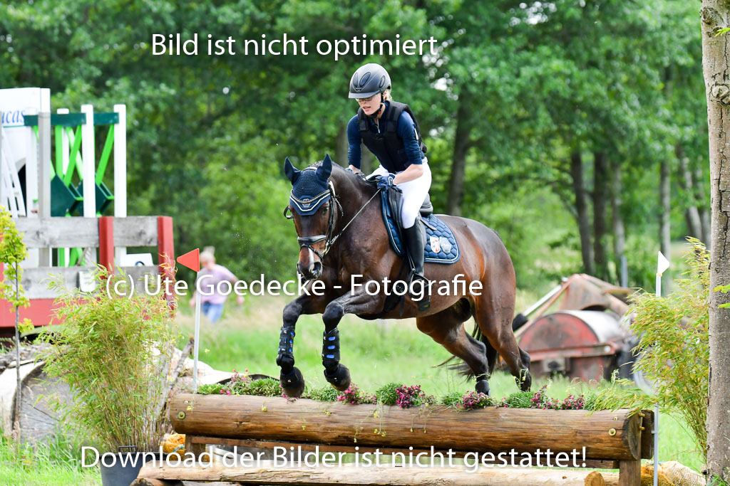Goldene Schärpe Pferde  in Löningen  11+12.6.22 | 11062022 - Gelände 385 Abt 