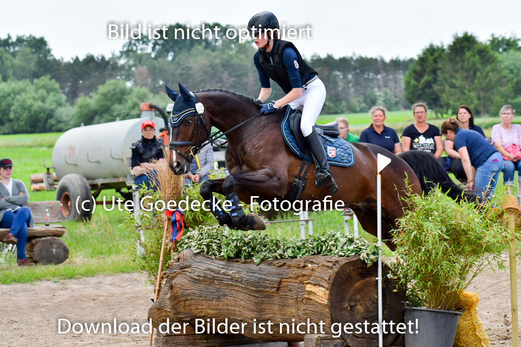 Goldene Schärpe Pferde  in Löningen  11+12.6.22 | 11062022 - Gelände 388 Abt