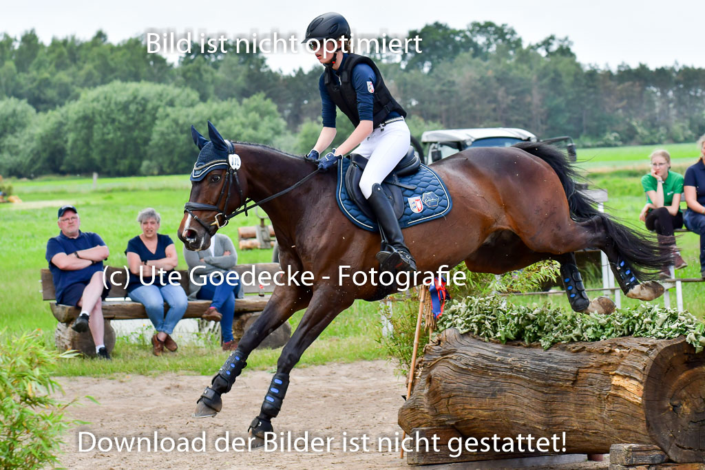 Goldene Schärpe Pferde  in Löningen  11+12.6.22 | 11062022 - Gelände 389 Abt