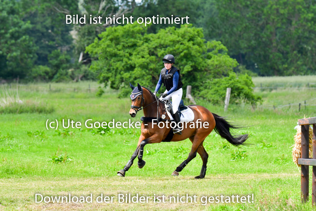 Goldene Schärpe PFerde  in Löningen  11+12.6.22 | 11062022 - Gelände 39 Abt 