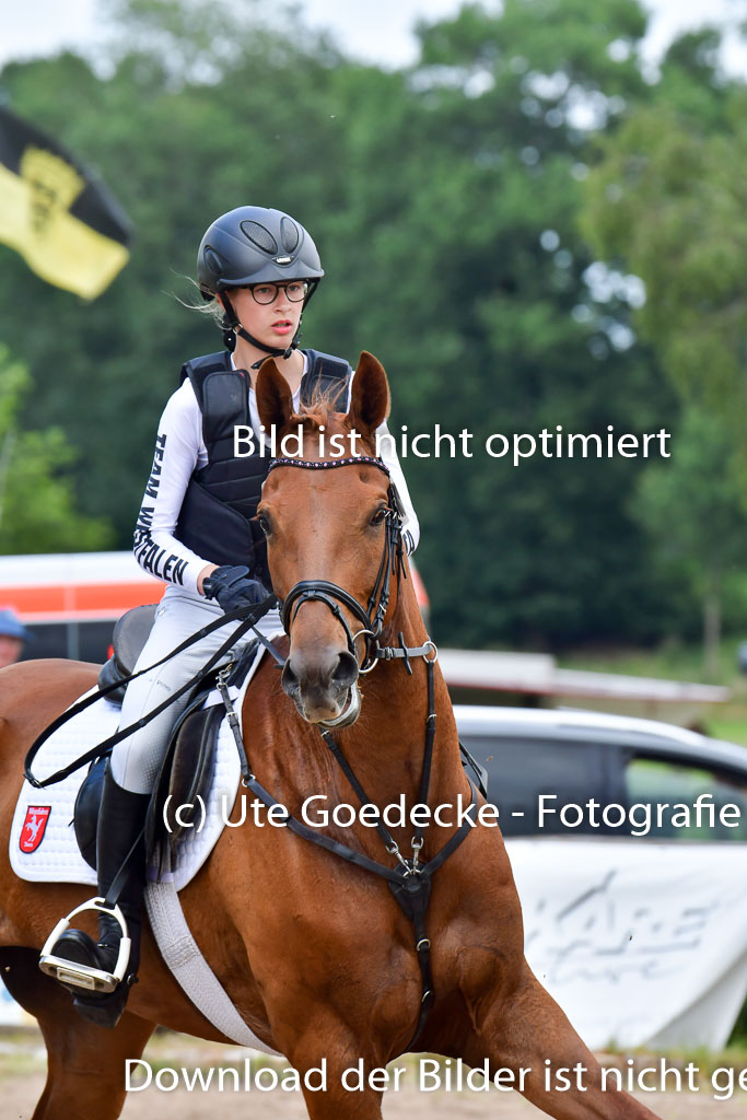 Goldene Schärpe Pferde  in Löningen  11+12.6.22 | 11062022 - Gelände 395 Abt 