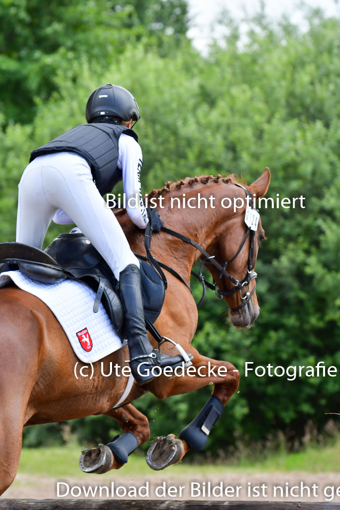 Goldene Schärpe Pferde  in Löningen  11+12.6.22 | 11062022 - Gelände 396 Abt