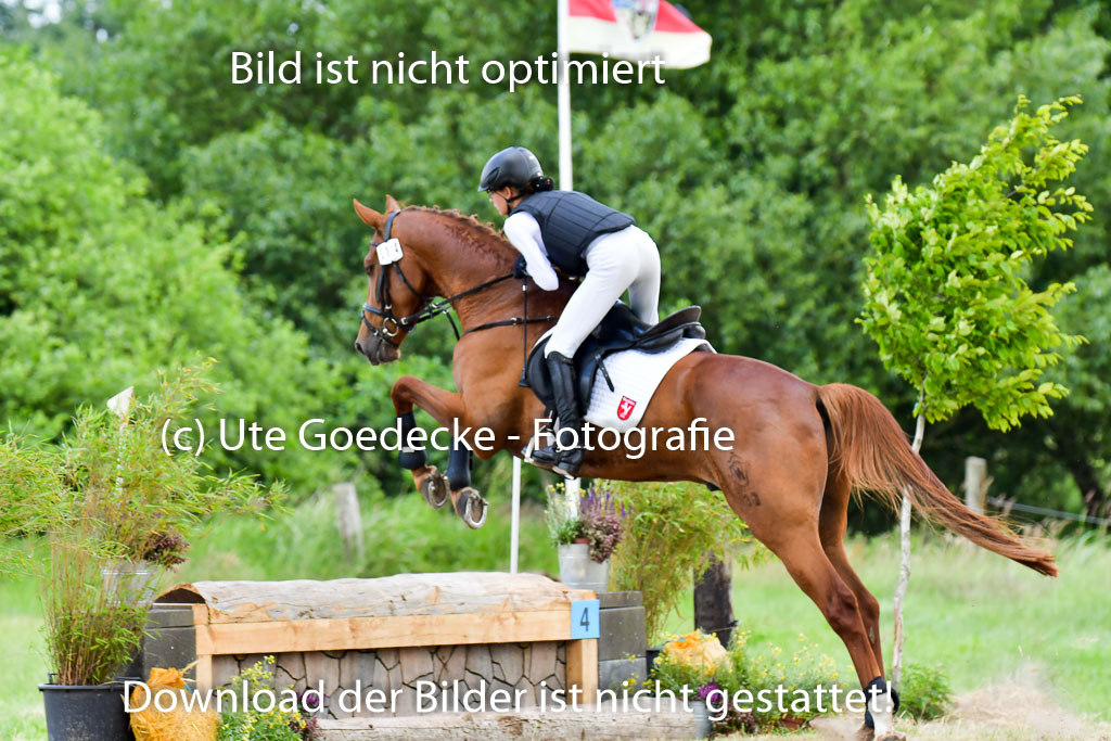 Goldene Schärpe Pferde  in Löningen  11+12.6.22 | 11062022 - Gelände 399 Abt
