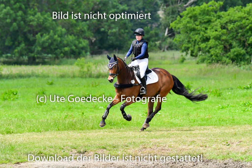 Goldene Schärpe PFerde  in Löningen  11+12.6.22 | 11062022 - Gelände 40 Abt 