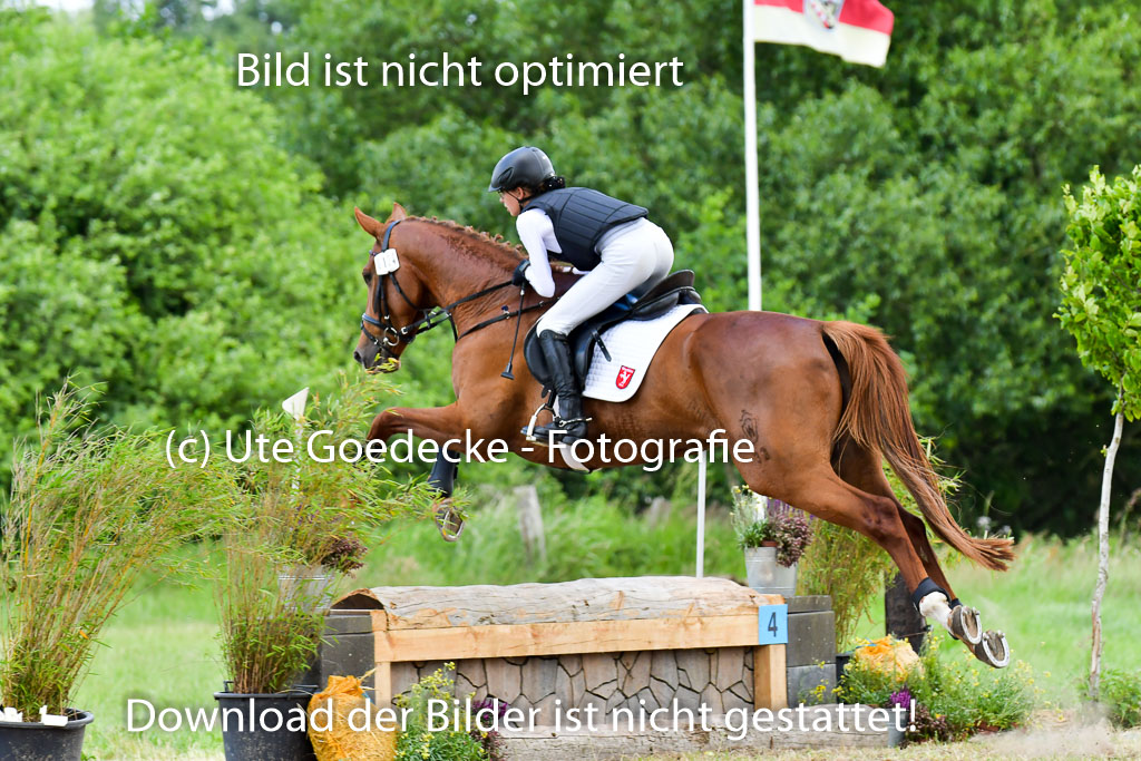 Goldene Schärpe Pferde  in Löningen  11+12.6.22 | 11062022 - Gelände 400 Abt