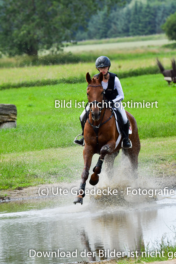 Goldene Schärpe Pferde  in Löningen  11+12.6.22 | 11062022 - Gelände 401 Abt