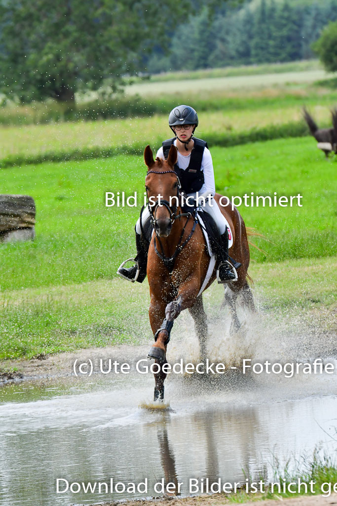 Goldene Schärpe Pferde  in Löningen  11+12.6.22 | 11062022 - Gelände 402 Abt 