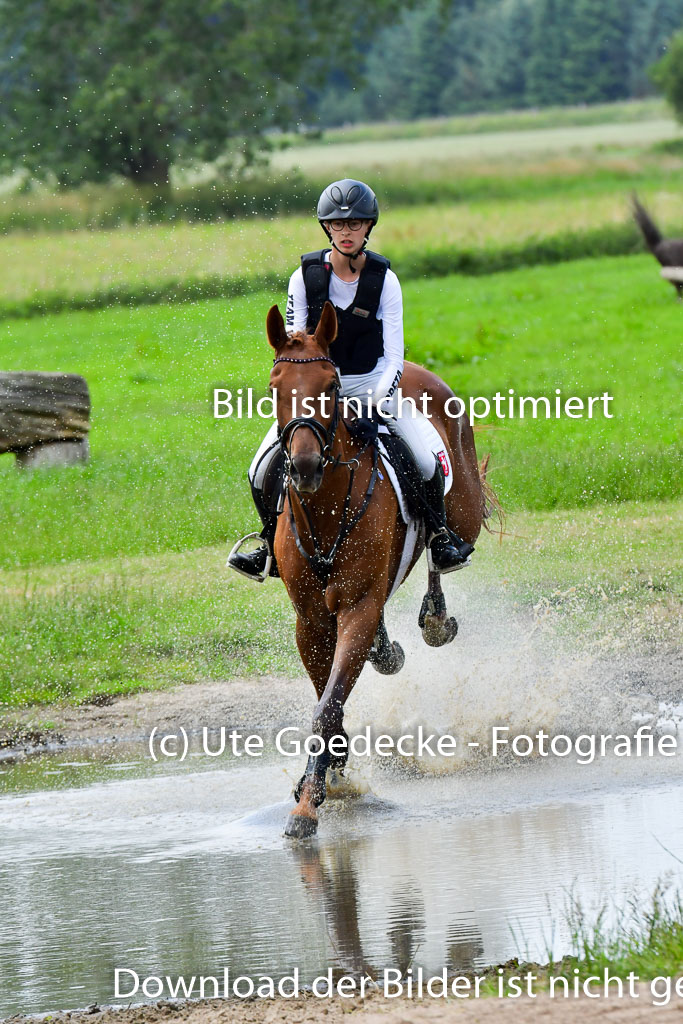 Goldene Schärpe Pferde  in Löningen  11+12.6.22 | 11062022 - Gelände 403 Abt 