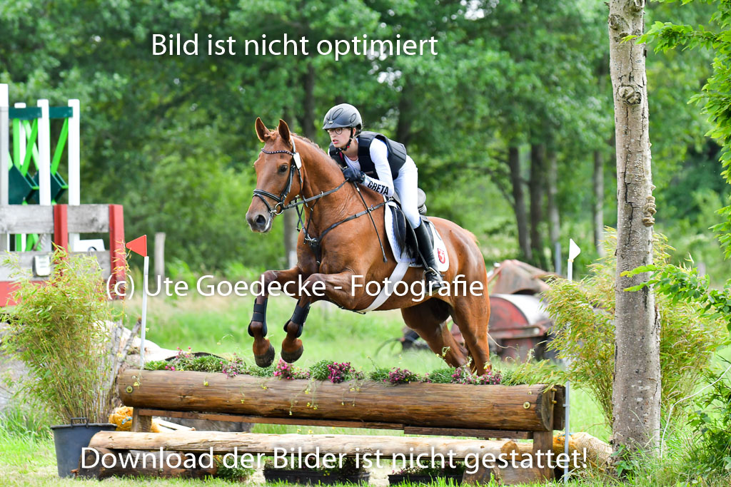 Goldene Schärpe Pferde  in Löningen  11+12.6.22 | 11062022 - Gelände 412 Abt 