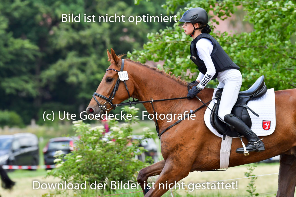 Goldene Schärpe Pferde  in Löningen  11+12.6.22 | 11062022 - Gelände 420 Abt 