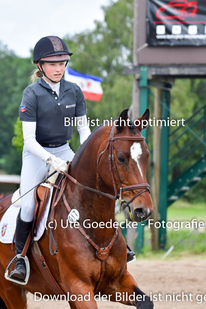 Goldene Schärpe Pferde  in Löningen  11+12.6.22 | 11062022 - Gelände 424 Abt 