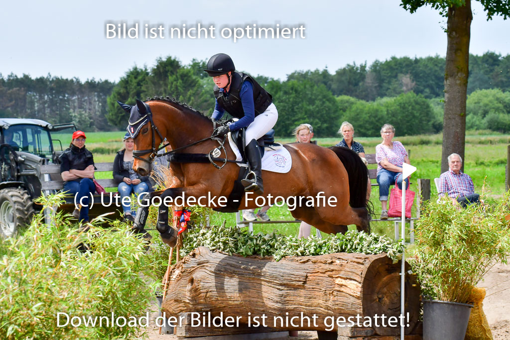 Goldene Schärpe PFerde  in Löningen  11+12.6.22 | 11062022 - Gelände 44 Abt
