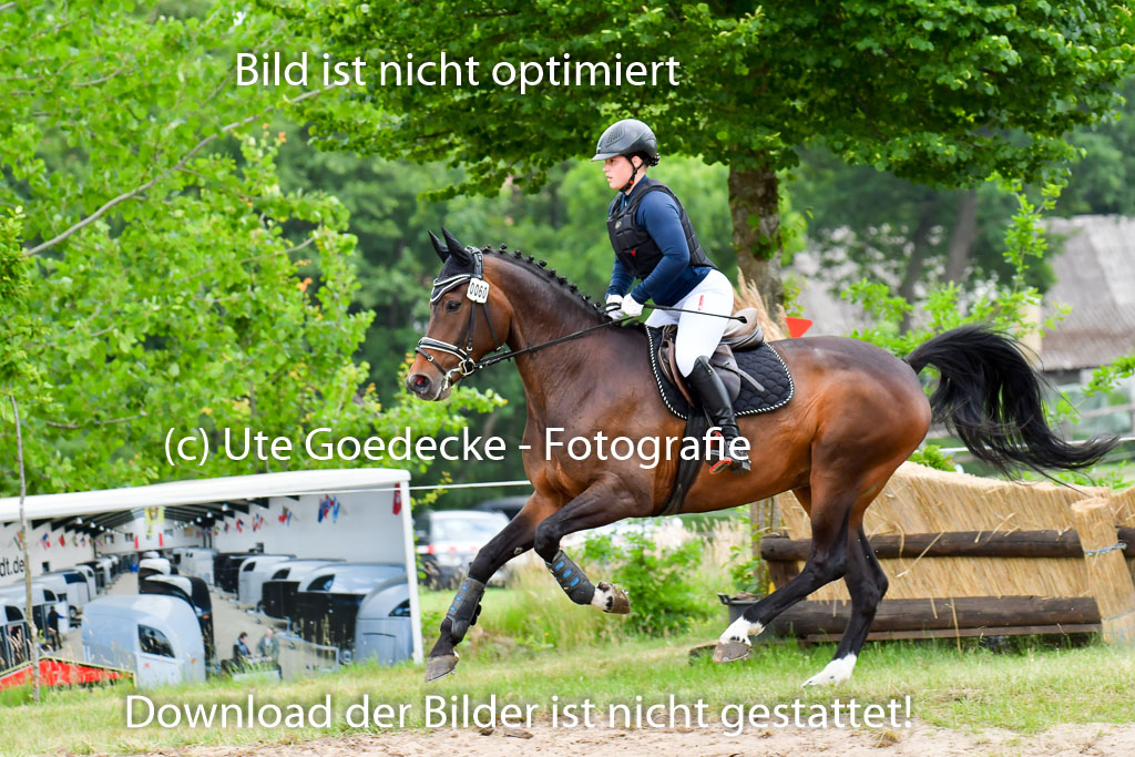 Goldene Schärpe Pferde  in Löningen  11+12.6.22 | 11062022 - Gelände 450 Abt 
