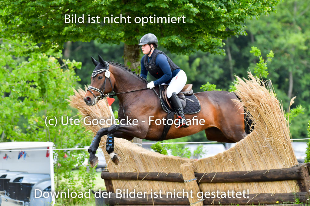 Goldene Schärpe Pferde  in Löningen  11+12.6.22 | 11062022 - Gelände 464 Abt 