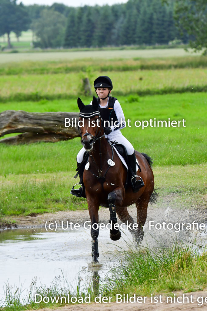 Goldene Schärpe Pferde  in Löningen  11+12.6.22 | 11062022 - Gelände 474 Abt 