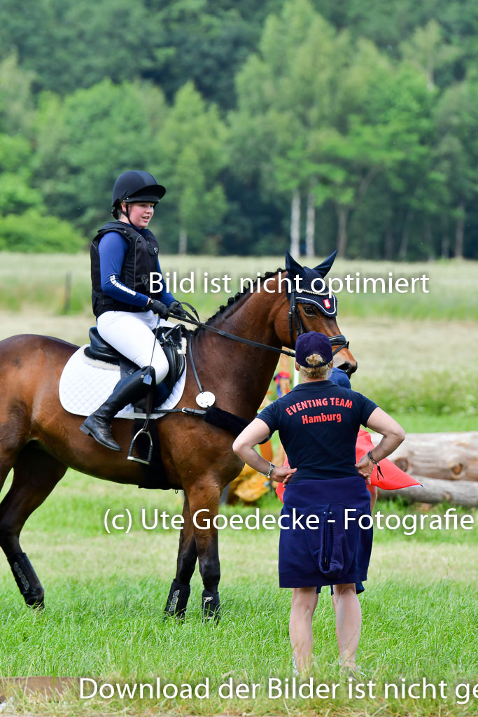 Goldene Schärpe PFerde  in Löningen  11+12.6.22 | 11062022 - Gelände 49 Abt 