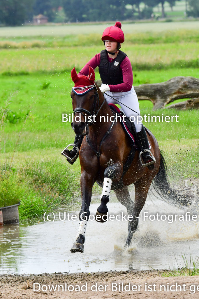 Goldene Schärpe Pferde  in Löningen  11+12.6.22 | 11062022 - Gelände 493 Abt 