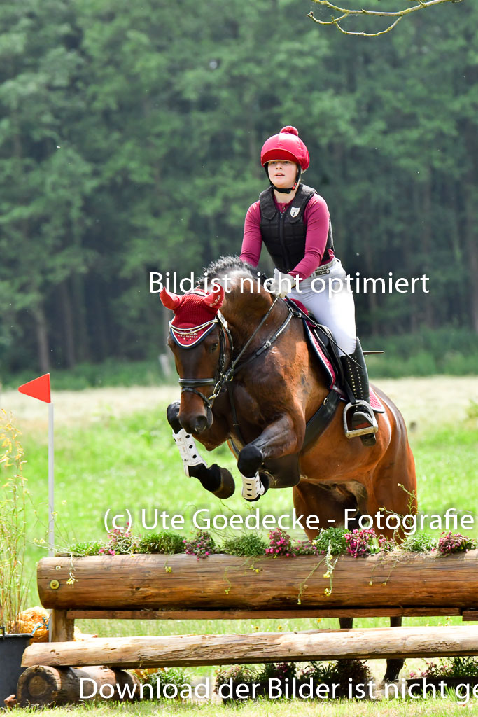 Goldene Schärpe Pferde  in Löningen  11+12.6.22 | 11062022 - Gelände 496 Abt